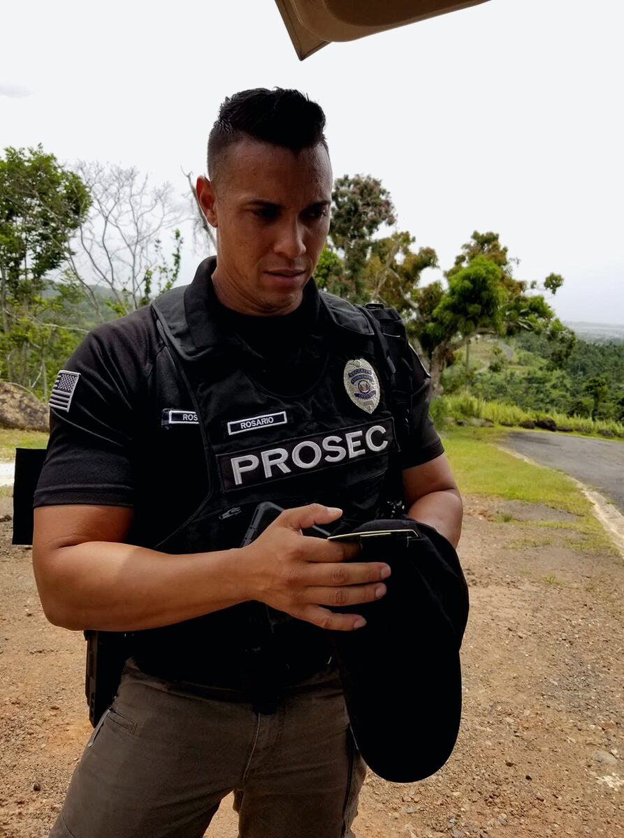 PROSEC security professional on site
